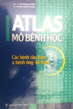 3. ATLAS mô bệnh học các bệnh cầu thận và bệnh ống-kẽ thận. NXB YH. (Tác giả)