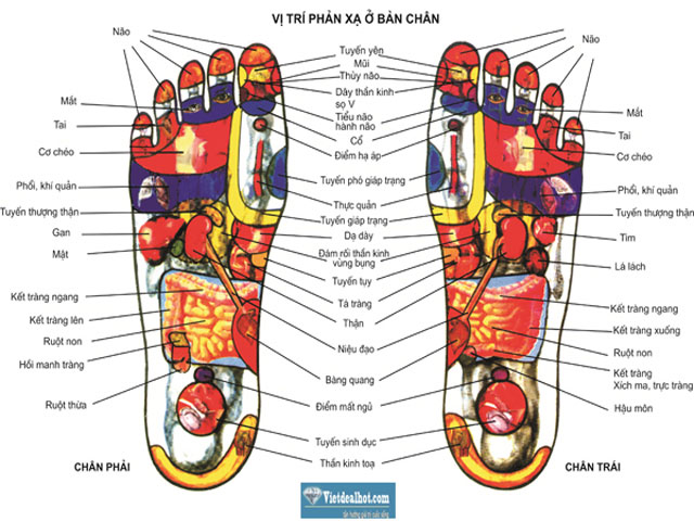 Các huyệt vị phổ biến trong châm cứu là gì?
