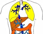 Hội chứng gan - phổi (Hepato-pulmonary syndrome)