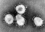 Dịch viêm phổi cấp Vũ Hán do Coronavirus mới (Novel Coronavirus: nCoV))