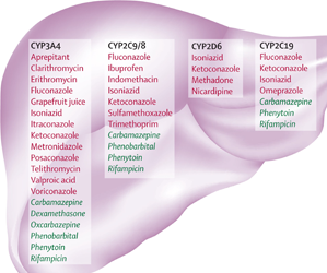 CYP450 thuộc nhóm monooxygenase trong cơ thể sống có vai trò gì?
