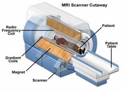 Nguyên lý chụp cộng hưởng từ (MRI)
