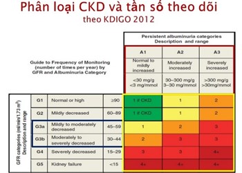 Hiểu thế nào về Bệnh thận mạn và suy thận mạn