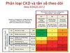 Hiểu thế nào về Bệnh thận mạn và suy thận mạn