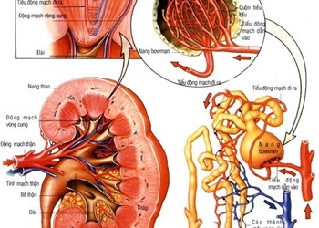 Câu hỏi và đáp án CME BV 16A