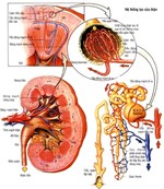 Câu hỏi và đáp án CME BV 16A