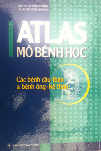 ATLAS thận (2008)